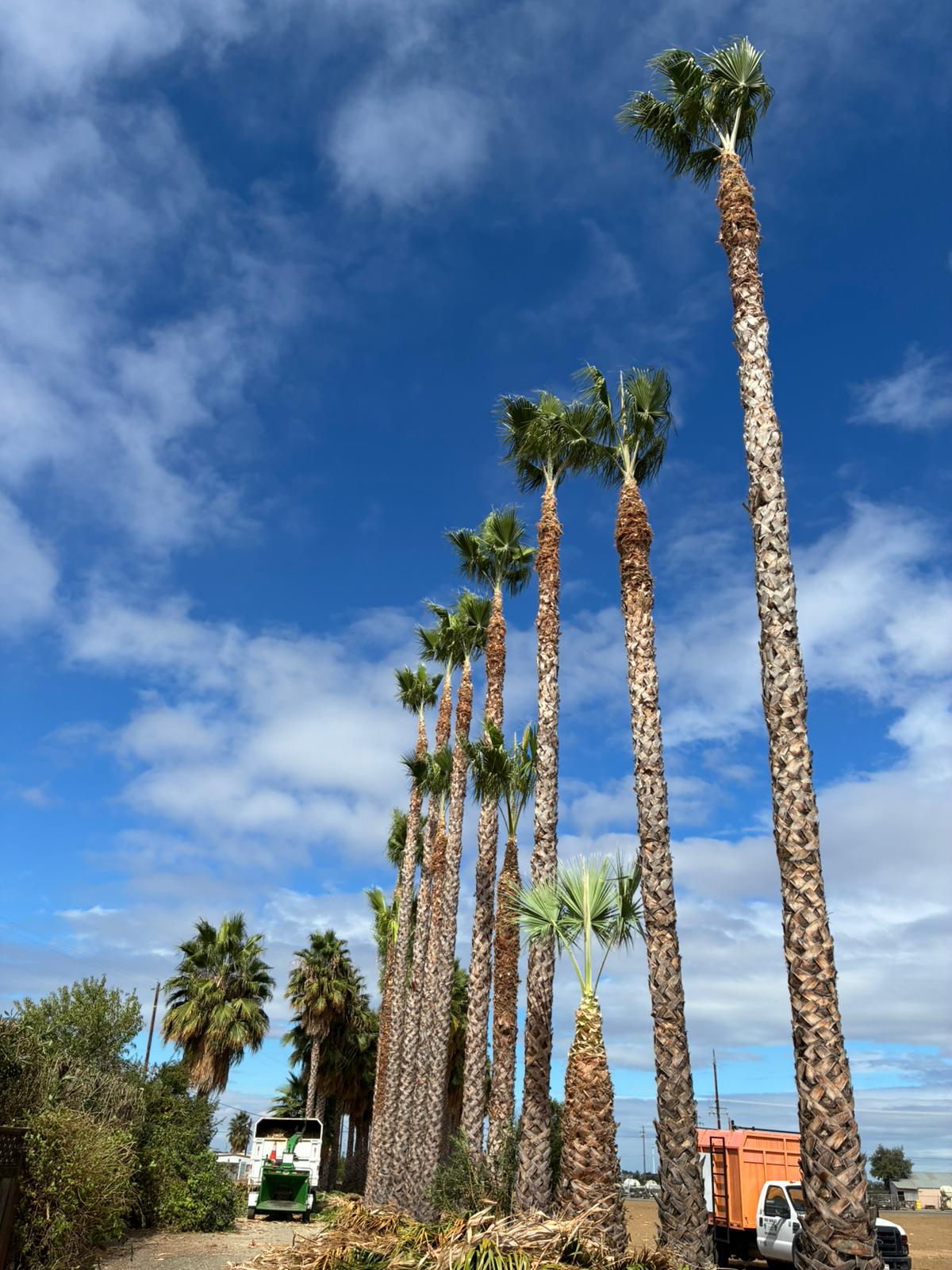 Emergency Storm Damage Cleanup