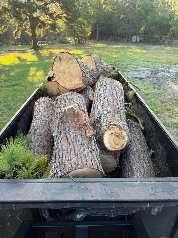 Professional Tree Service Work 9
